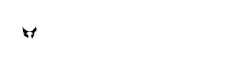 子楠律师